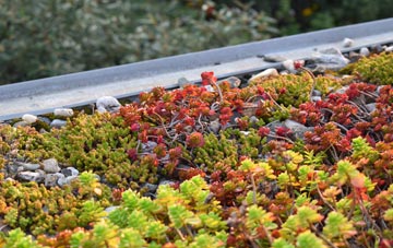 the cost of Penton Corner green roof installation