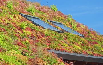 Penton Corner living roof systems
