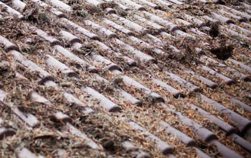 Penton Corner roof cleaning companies